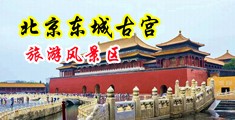 我要操外女的B视频中国北京-东城古宫旅游风景区